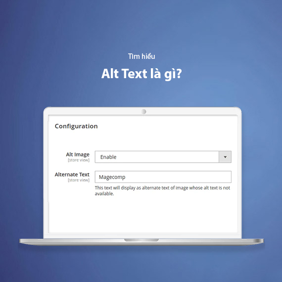 Alt Text là gì? Cách đặt thẻ Alt chuẩn khi SEO hình ảnh