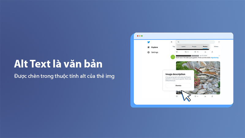 Alt Text là gì?