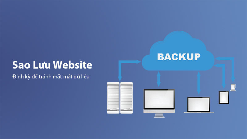 Regular Website Backups