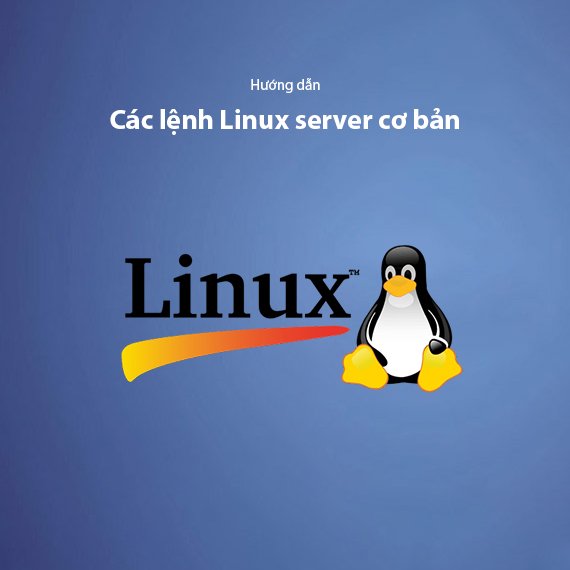 Các Lệnh Linux Server Cơ Bản Cho Người Mới Quản Trị Hosting — Cẩm Nang Từ A-Z