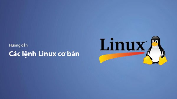 Basic Linux Commands for Hosting Management — A Complete A-Z Guide for Beginners