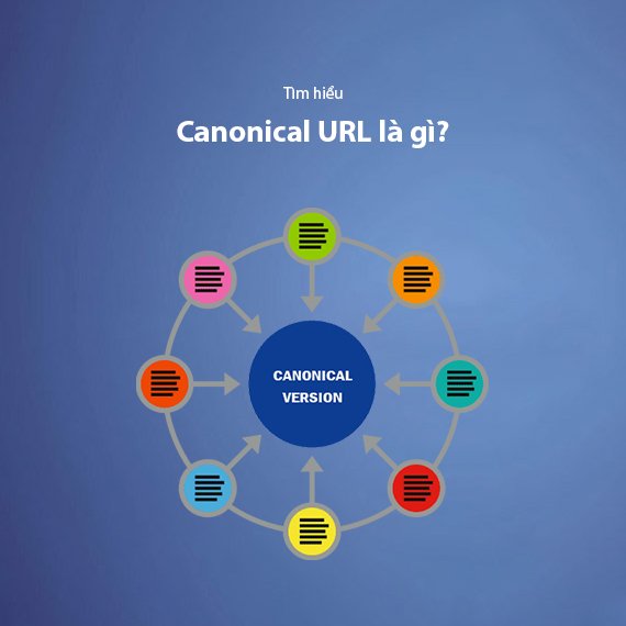 Canonical URL Là Gì? Cách Sử Dụng Đúng Cách Cho SEO