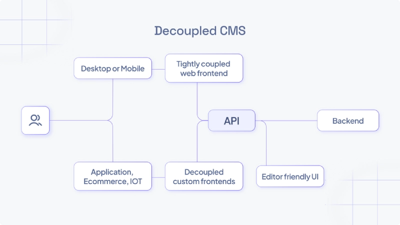 CMS Tách Rời