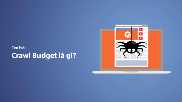 Crawl Budget Là Gì? Hướng Dẫn Tối Ưu Hóa Ngân Sách Thu Thập Thông Tin Của Website