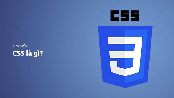 What is CSS? Why is CSS Essential in Web Design?