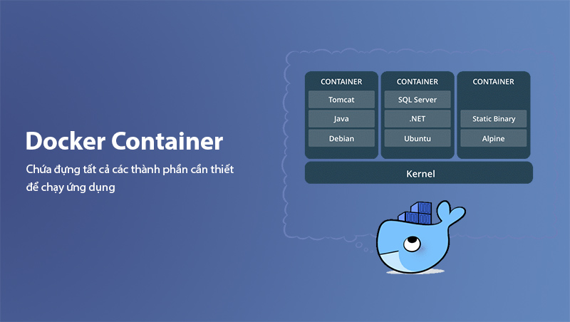 Docker container là gì?