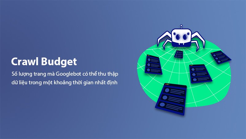 Wasted Crawl Budget