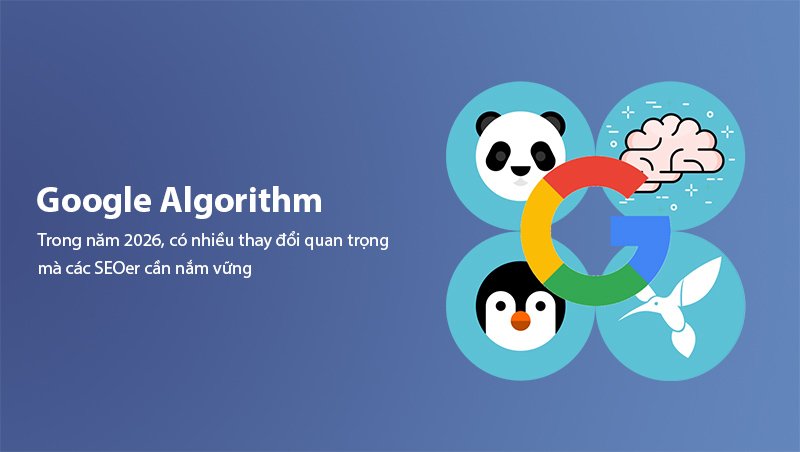 Google Algorithm Updates 2026 overview
