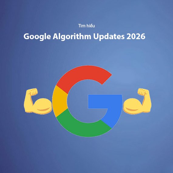 Google Algorithm Updates 2026: Những Thay Đổi Quan Trọng Cần Biết