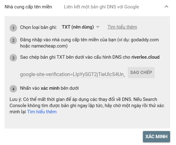 Xác minh Google Search Console với lựa chọn Sử dụng nhà cung cấp tên miền