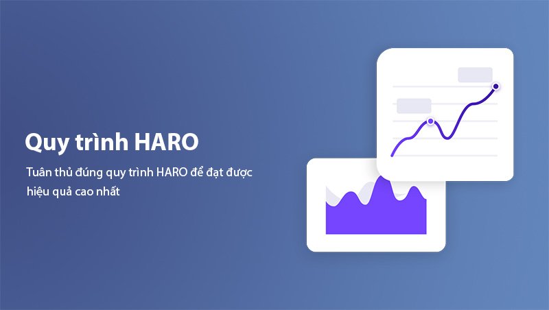 HARO process