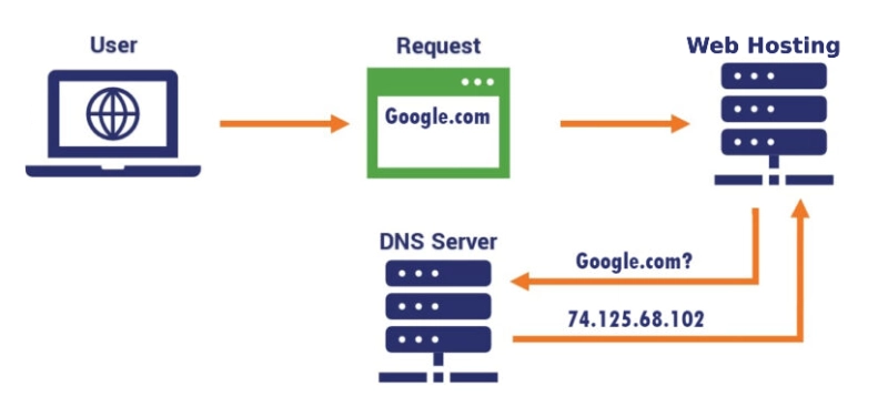 Quá trình hoạt động của web hosting?