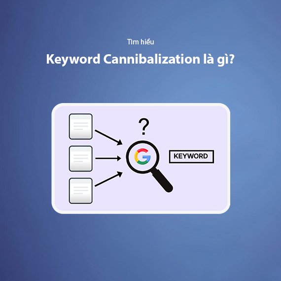 Keyword Cannibalization Là Gì? Cách Nhận Biết Và Khắc Phục Triệt Để