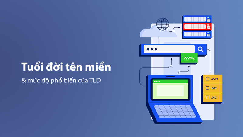 Tuổi đời tên miền ảnh hưởng đến độ uy tín của Website