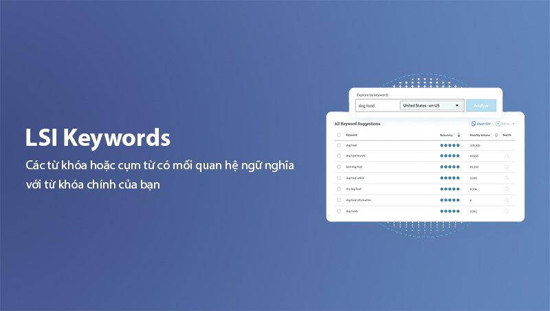 What Are LSI Keywords?