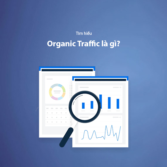 Organic Traffic Là Gì? Top 7+ Cách Tăng Traffic Tự Nhiên Cho Website