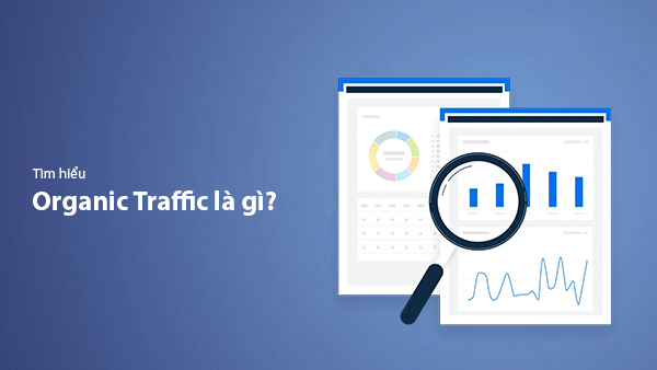 Organic Traffic Là Gì? Top 7+ Cách Tăng Traffic Tự Nhiên Cho Website