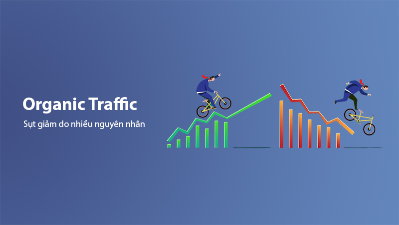 Organic Traffic sụt giảm do nhiều nguyên nhân khác nhau