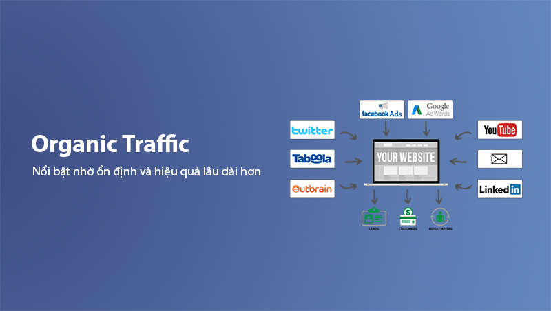 Phân biệt Organic Traffic với các loại traffic khác