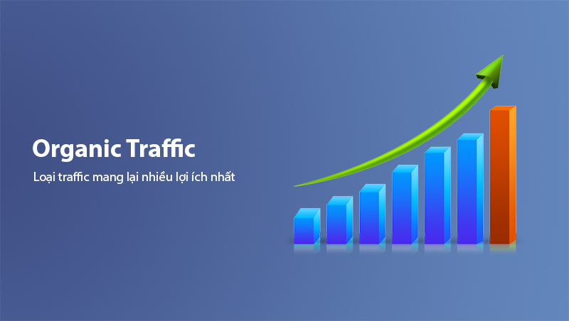 Vì sao nên đầu tư vào Organic Traffic?