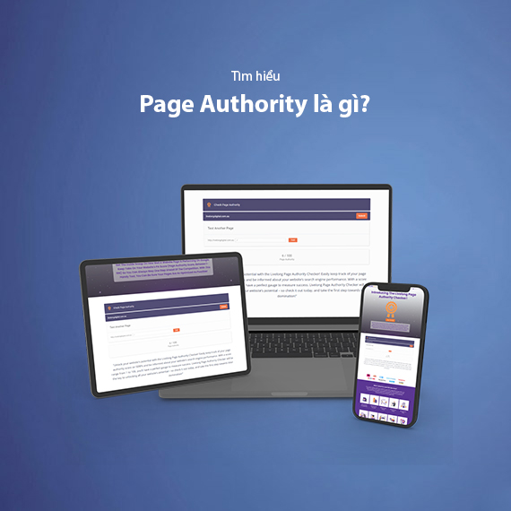 Page Authority Là Gì? Tầm Quan Trọng Của Page Authority Đối Với SEO 2025