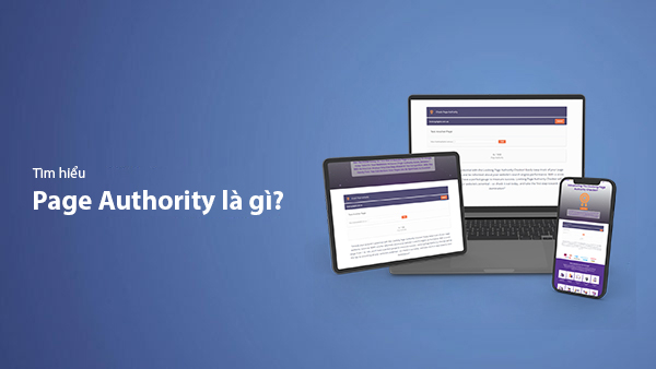 Page Authority Là Gì? Tầm Quan Trọng Của Page Authority Đối Với SEO 2025