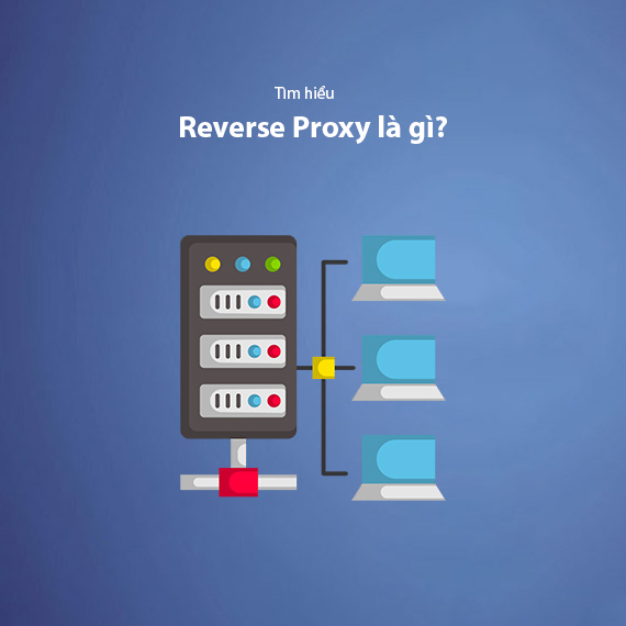 Reverse Proxy là gì? Kiến thức từ A-Z về Proxy ngược