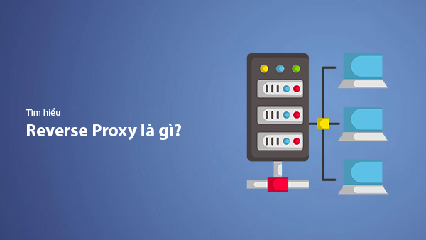 Reverse Proxy là gì? Kiến thức từ A-Z về Proxy ngược