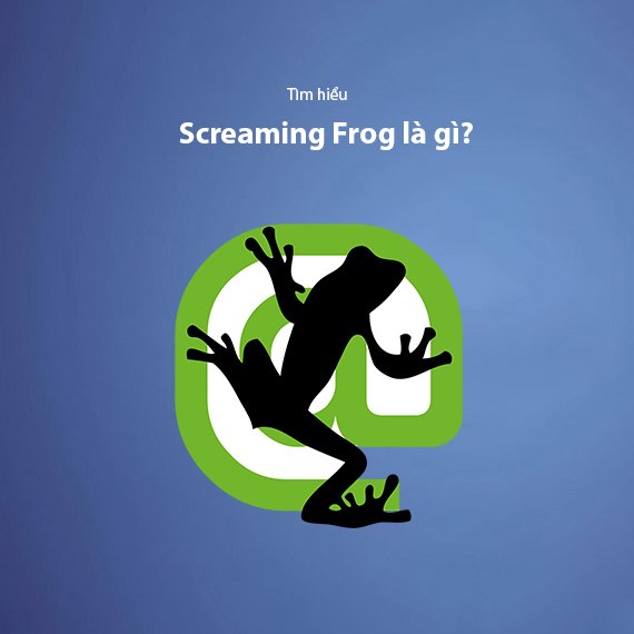Screaming Frog là gì? Hướng dẫn sử dụng SEO Spider từ A-Z
