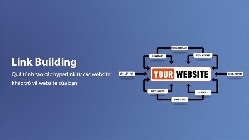 Link Building là gì?