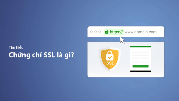 SSL Là Gì? Hướng Dẫn Cài Đặt SSL Miễn Phí Cho Website