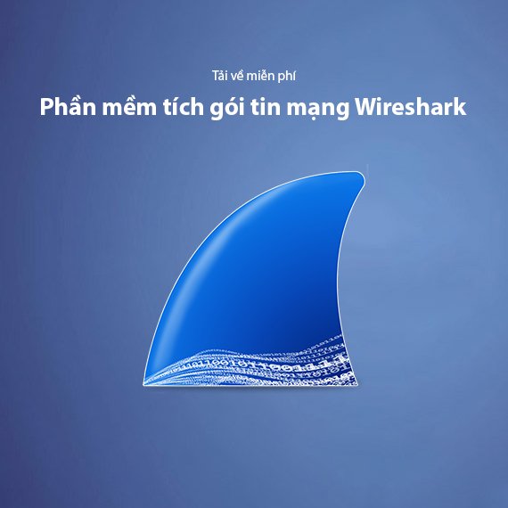 Tải Wireshark Miễn Phí – Phần Mềm Phân Tích Gói Tin Mạng 2026