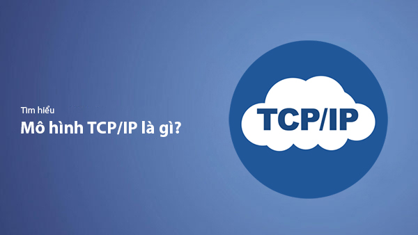 TCP/IP Là Gì? Kiến Thức Từ A-Z Về Giao Thức TCP/IP Bạn Cần Biết