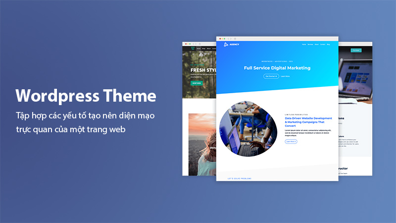 Theme WordPress là gì?